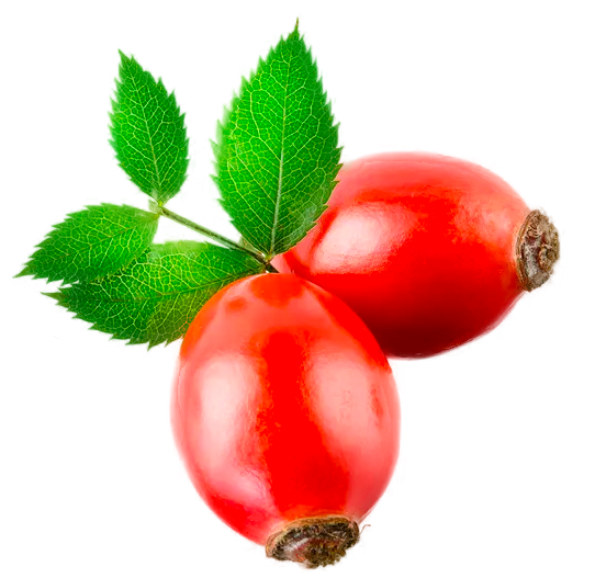 Cereza de café orgánico